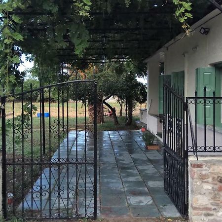 Country Village House Skala Mistegnon Bagian luar foto